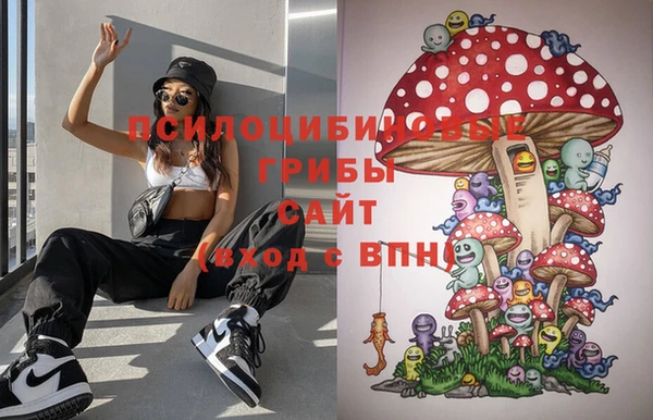 спиды Новодвинск